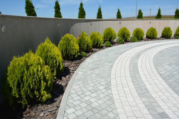 Best Affordable Driveway Pavers  in Vineyards, FL