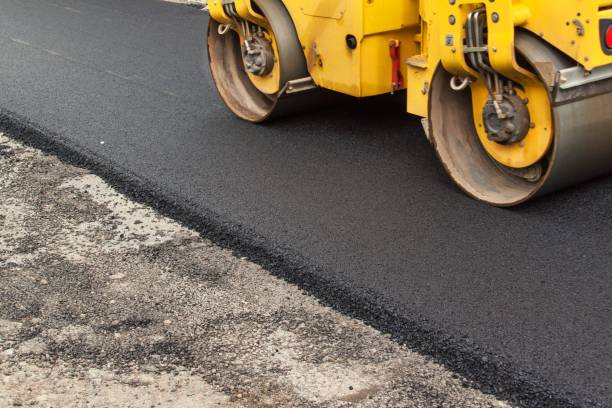 Best Interlocking Driveway Pavers  in Vineyards, FL