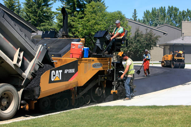 Best Decorative Driveway Pavers  in Vineyards, FL